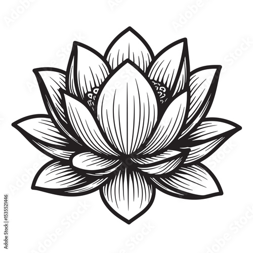 Intricate black and white illustration of a lotus flower blossom in a detailed line art style