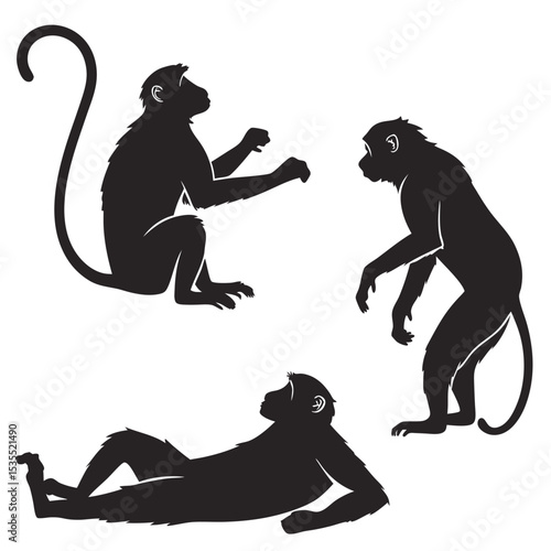 Silhouettes of three monkeys in different poses on a white background vector illustration