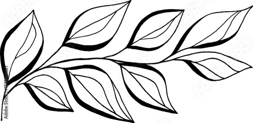 Elegant line art of cascading leaves forming a spiral design for nature-inspired decor
