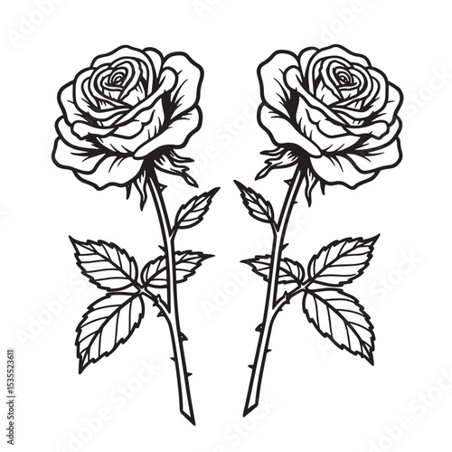 Two elegant black and white roses with stems and leaves for design and decoration