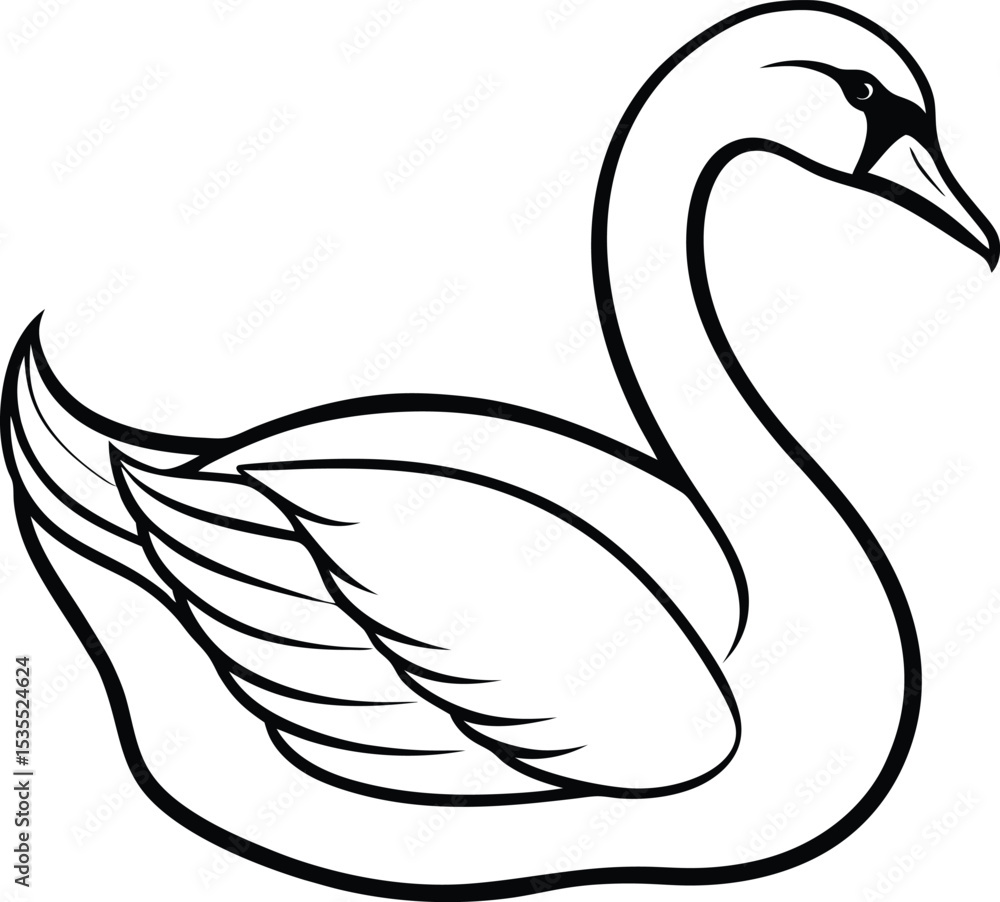 Obraz premium black swan vector illustration