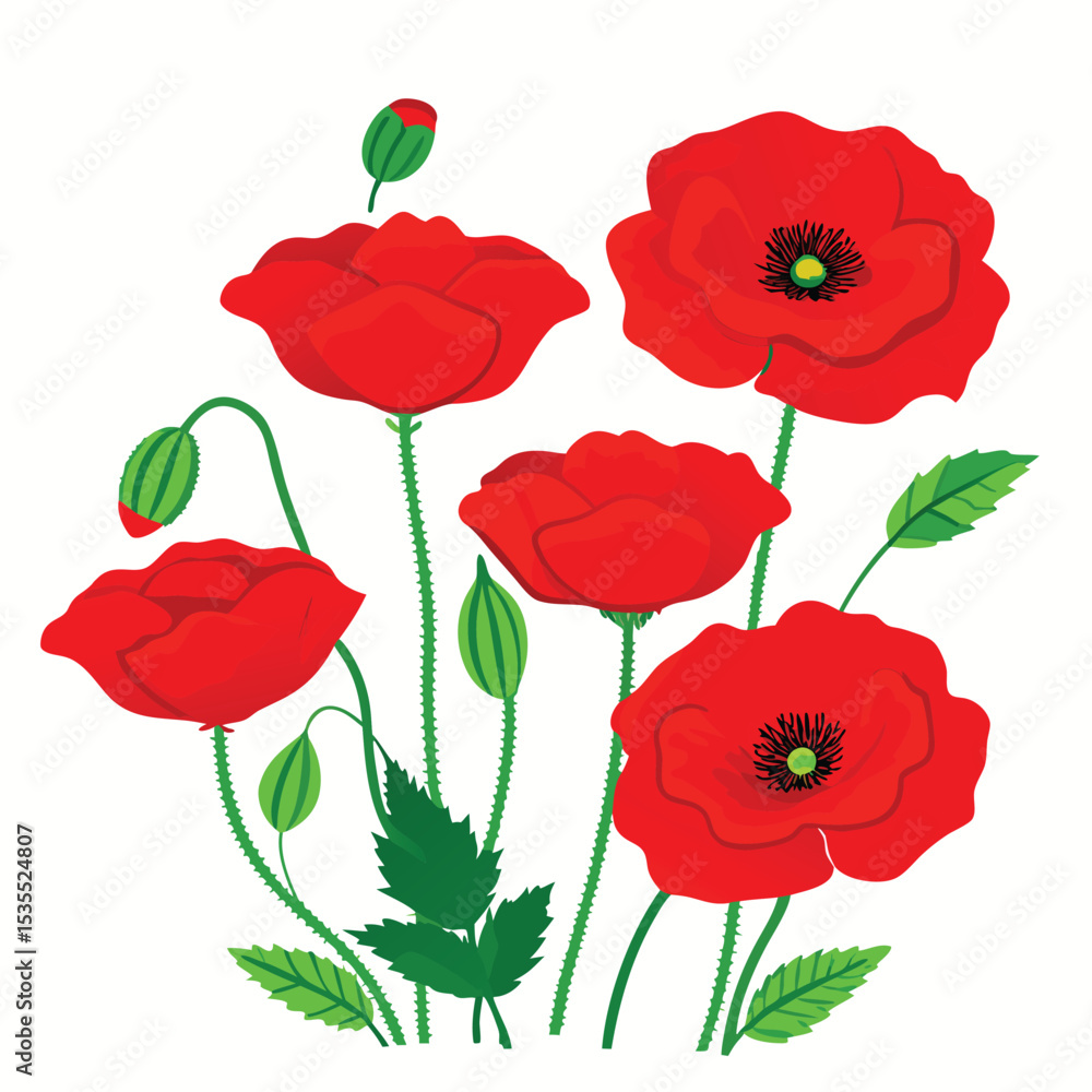 Obraz premium Vibrant vector illustration of red poppy flowers blossoming with green leaves and buds
