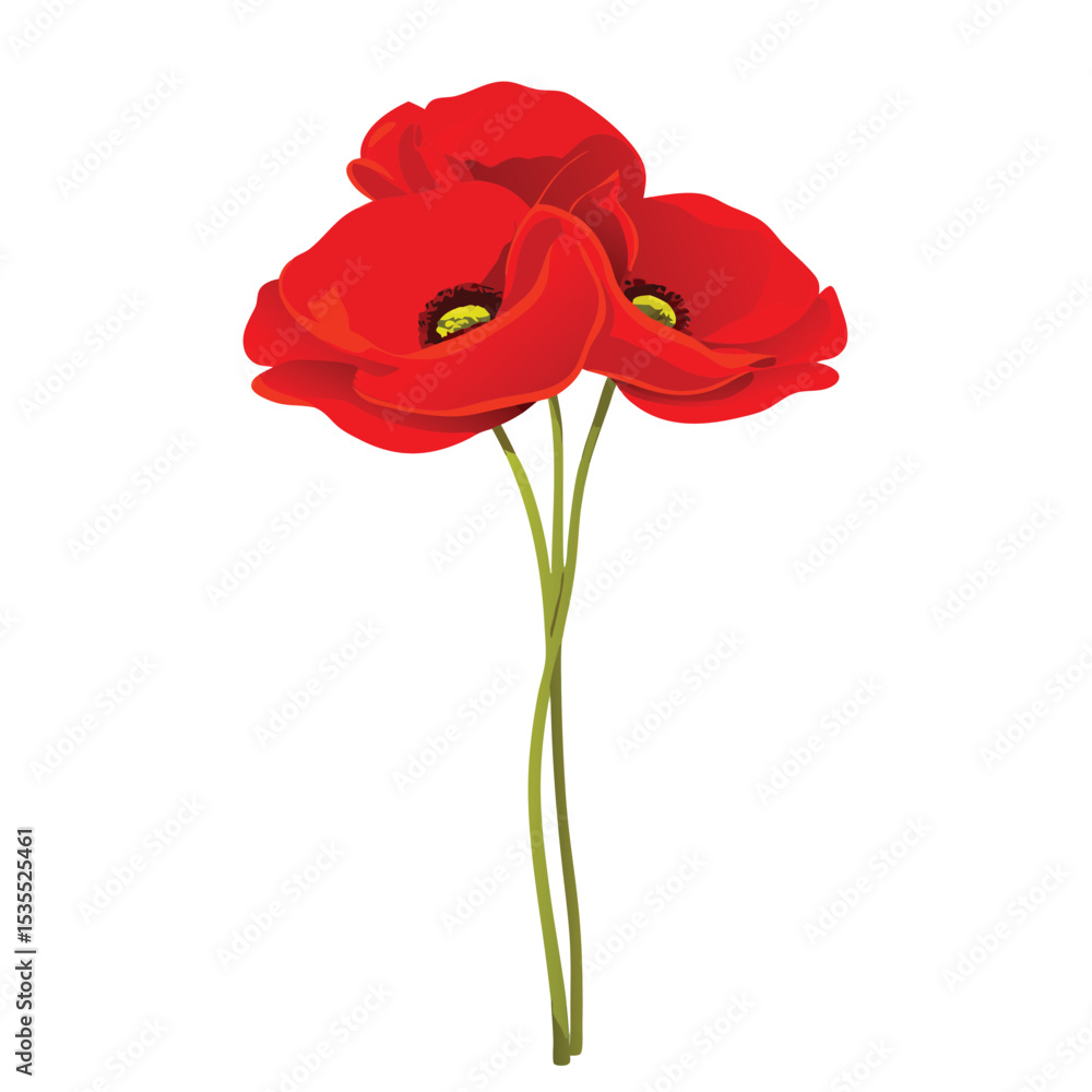 Obraz premium Beautiful bouquet of red poppies with green stems on a white background