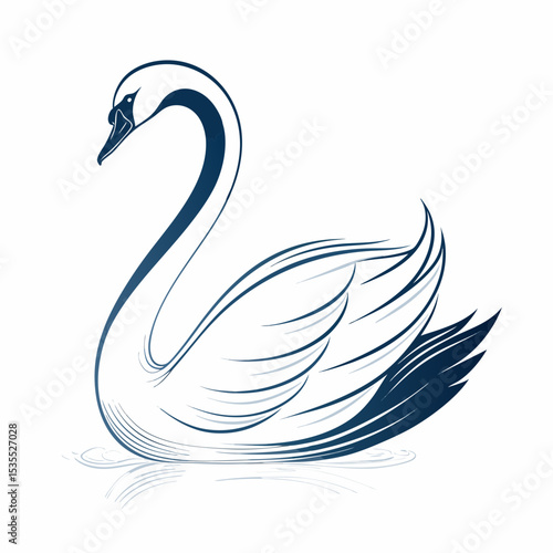 black swan vector