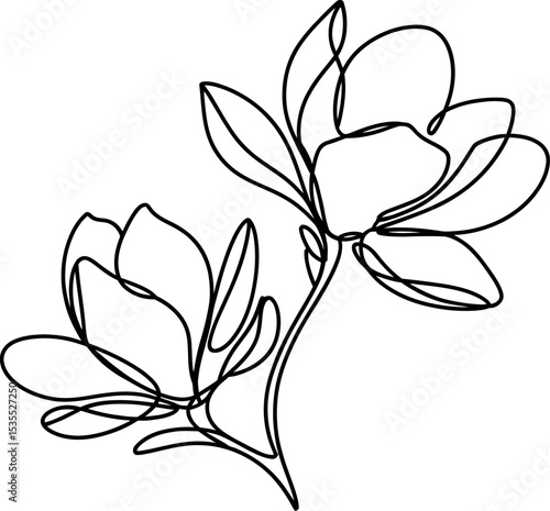 single one line Magnolia flowers line art silhouette on white background