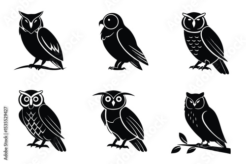 Set of six black and white owl silhouettes in various poses vector illustration