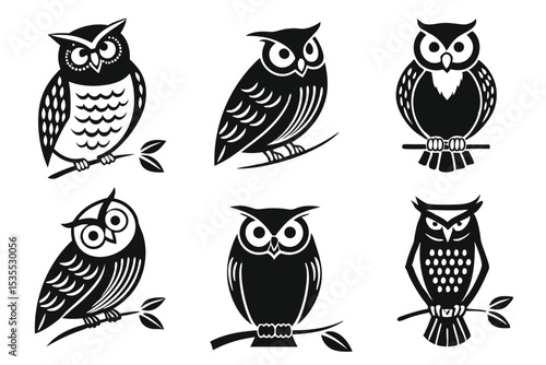 Six elegant black and white owl illustrations perched on branches against a white background