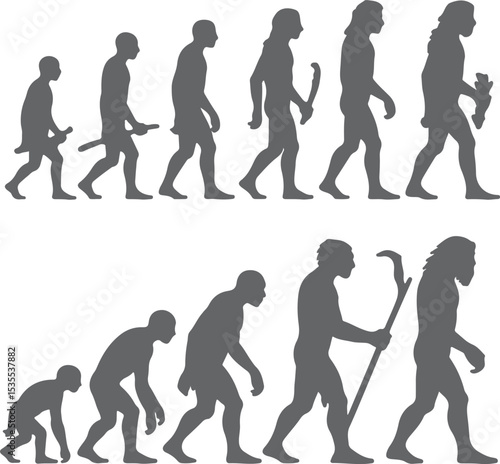 Gray Scale Silhouette Evolution of Man from Primate to Modern Human Walking Progression Stages Anthropology Hominid Development