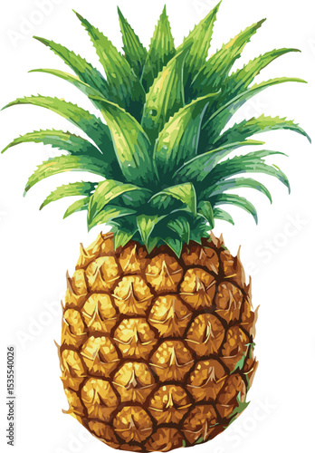 Beautiful watercolor illustration of colorful tasty pineapple fruit isoltaed on white background