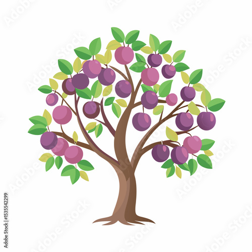 Plum Tree with Ripe Fruits and Green Leaves – Colorful Fruit Tree Illustration on White Background
