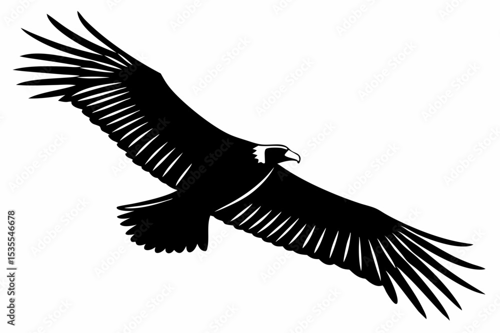 Obraz premium condor bird sihouette black vector 