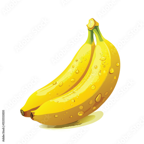 Fresh and juicy ripe bananas with water droplets  a colorful vector illustration