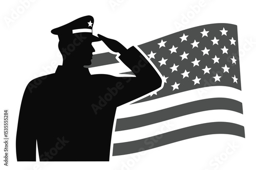 Veteran Saluting During National Anthem