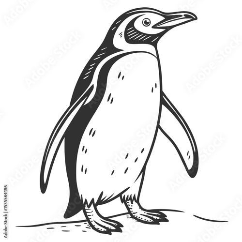 A black and white illustration of a standing penguin depicting wildlife and nature