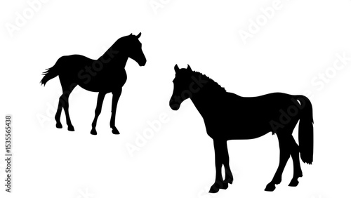 We promise sharp, scalable horse silhouettes that retain their clarity at any size — perfect for print or digital use.