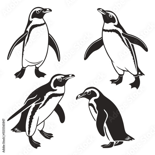 Black and white illustrations of graceful penguins in various poses on white background