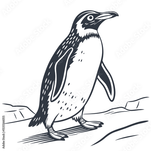 Black and white penguin vector illustration standing on a rock ready to explore antarctica