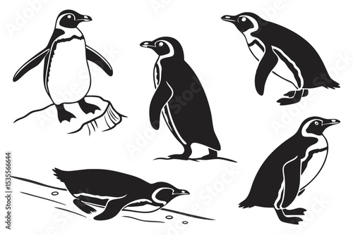 Black and white vector illustration of adorable penguins in various poses and activities.