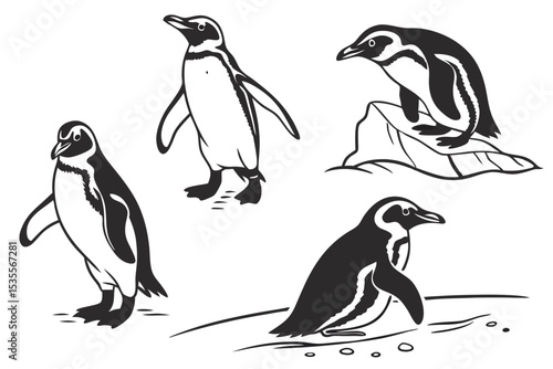 Collection of vector illustrations featuring various poses of adorable penguin silhouettes