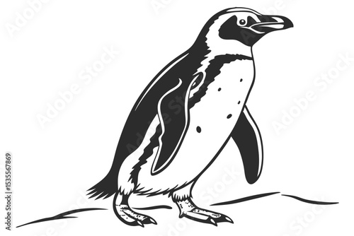 Elegant black and white illustration of a standing penguin on a plain white background