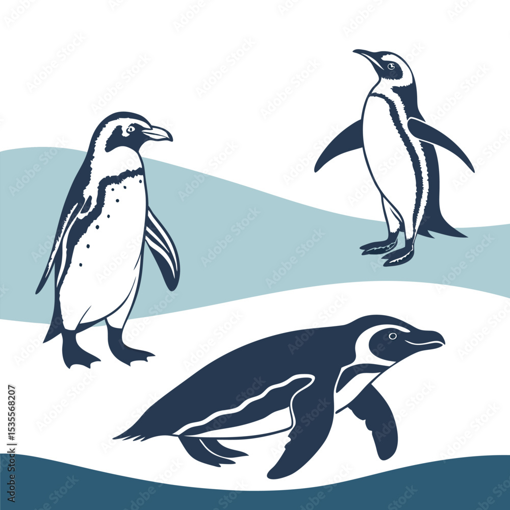 Obraz premium Penguin Vector Illustration Set Featuring Cute Antarctic Animals