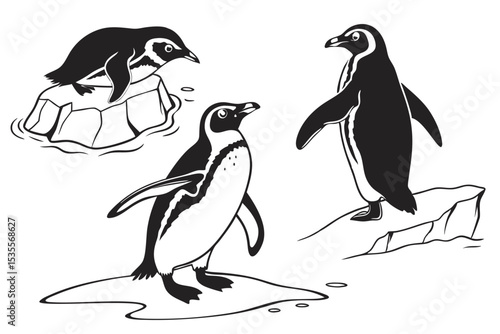 Illustrated vector graphic of black and white penguins in different poses on ice rocks