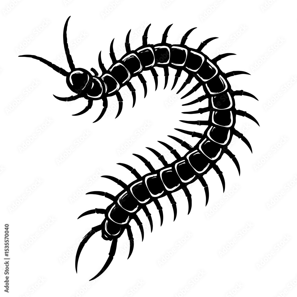 Black and White Centipede Vector Icon - Creepy Crawly Insect Illustration Black and White Centipede Vector Icon - Creepy Crawly Insect Illustration