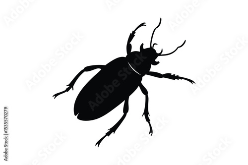 Beetle silhouette  vector illustration, Beetle silhouette  vector bundle 