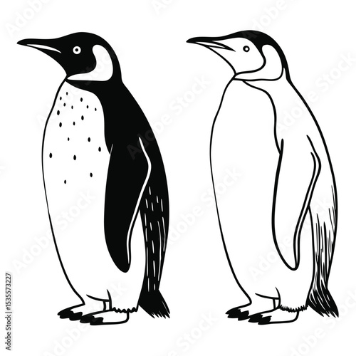 Two detailed black and white penguin illustrations standing in profile against a white background