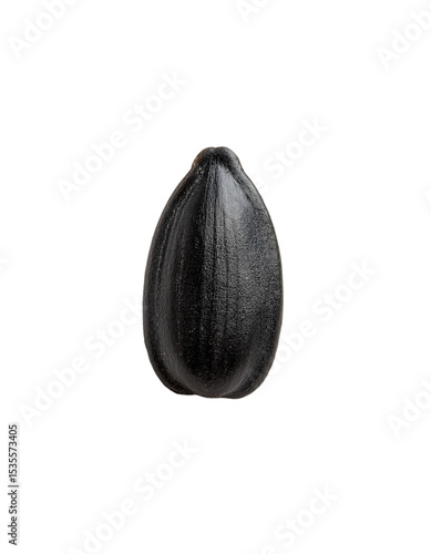 Wallpaper Mural Single Sunflower Seed Torontodigital.ca