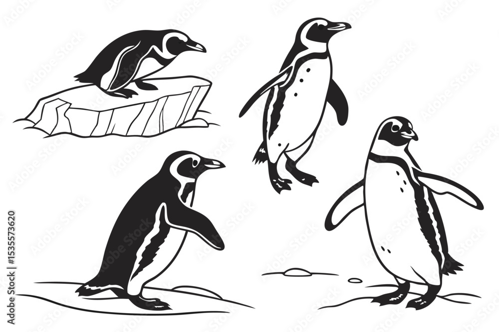 Fototapeta premium Penguins black and white illustration set with four cartoon birds in different poses on ice and land featuring cartoon penguins, penguin poses,