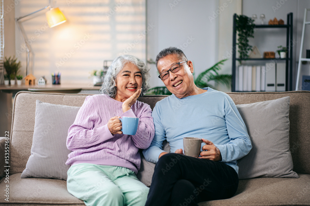 Senior Asian Couple Relaxing at Home with Coffee or Tea Sharing Happy Moments of Retirement Together Senior Asian Couple Relaxing at Home with Coffee or Tea Sharing Happy Moments of Retirement Together
