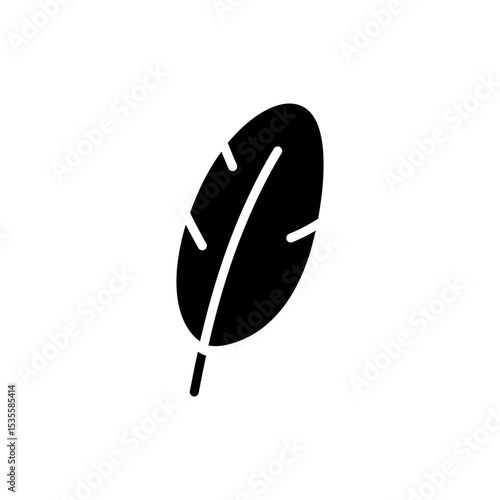 Feather with Shadow Below for a Dramatic Effect