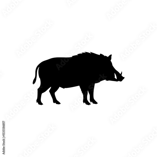 Wild Boar Standing Sideways in Natural Forest Habitat