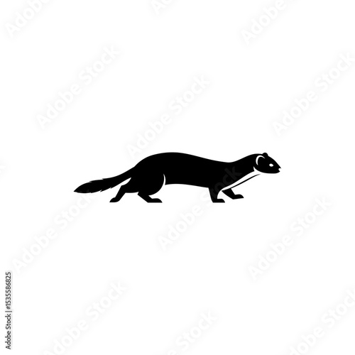 Weasel Sneaking Forward in Natural Habitat
