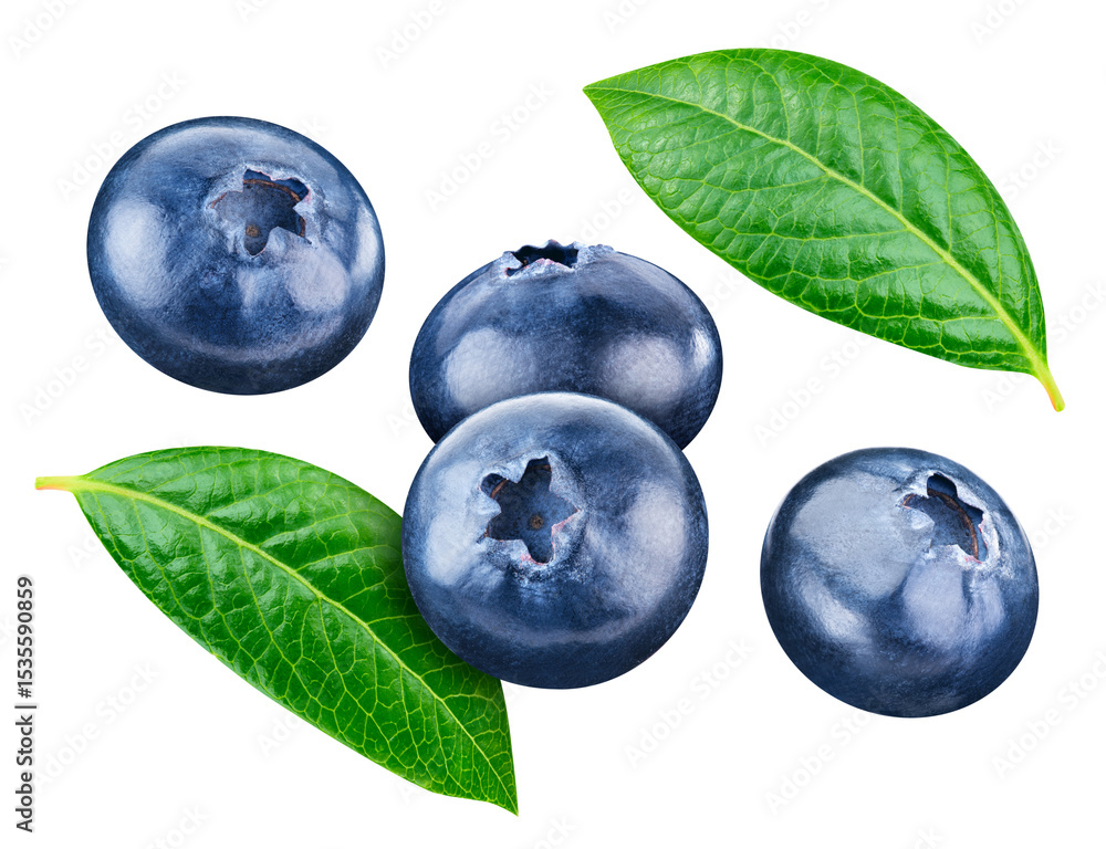 Obraz premium Flying blueberry isolated on white background. Blueberry with leaves clipping path