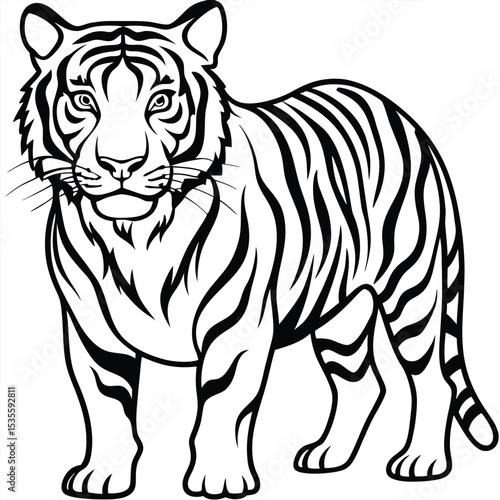 Detailed black and white illustration of a majestic standing bengal tiger isolated on white