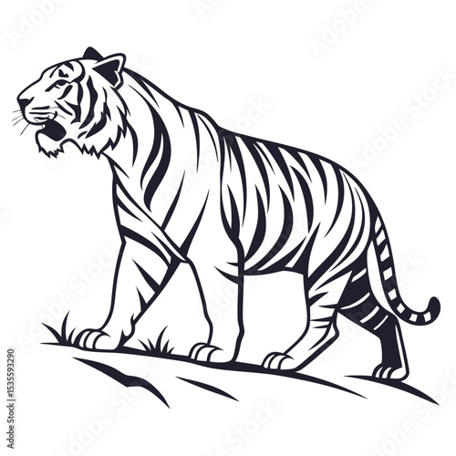 Detailed black and white vector illustration of a striking tiger walking and roaring