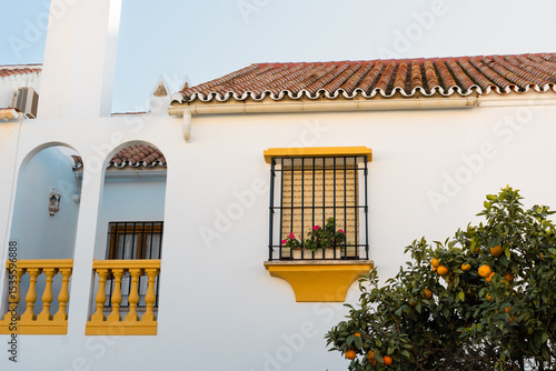 White building with vibrant balcony and orange tree in sunny Andalusian setting