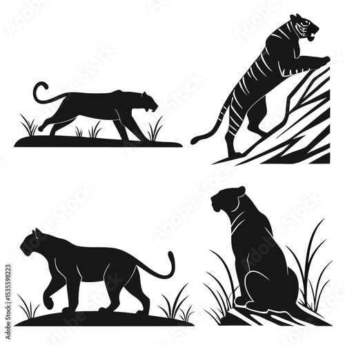 Silhouette collection of tigers and panthers prowling and resting with grass in vector illustrations