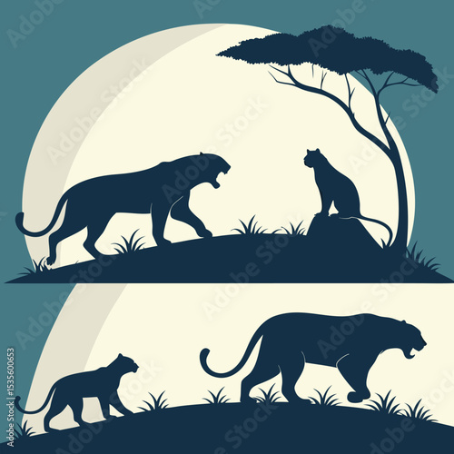 Silhouette of a leopard and a tiger in the african savannah against an evening sky