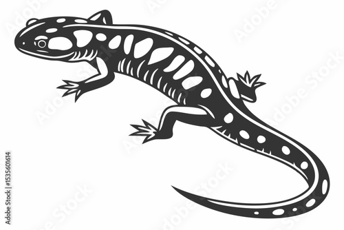 tiger salamander sihouette black vector 