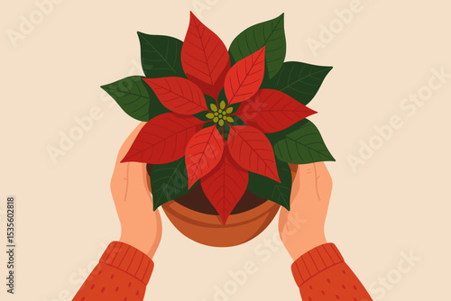 Top View Poinsettia Plant in Pot Held by Hands. Christmas Red Flower Gift. Holiday Botanical Concept. Seasonal Home Decor. Festive Winter Flora. Giving, Caring, Nature, Indoor Plant Illustration