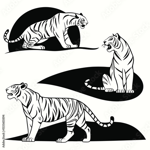Striking black and white tiger illustrations in various poses for design and decoration