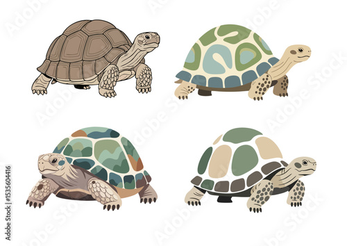 Tortoise slowly moving forward with calm expression, symbolizing persistence with stylized shell and soft natural palette on transparent background