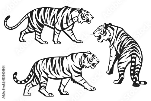 Three graphic black and white tiger illustrations in various poses on a white background