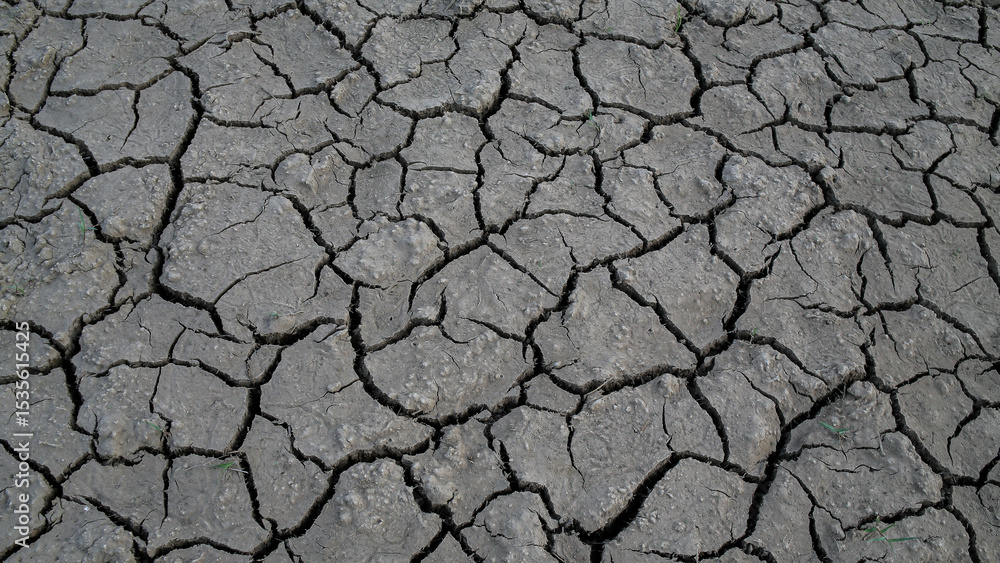 Cracked Dry Earth Texture Due to Drought Cracked Dry Earth Texture Due to Drought