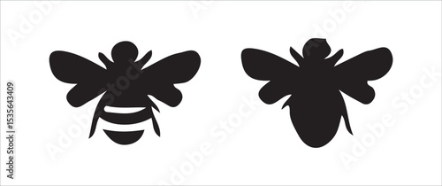 butterfly on white background