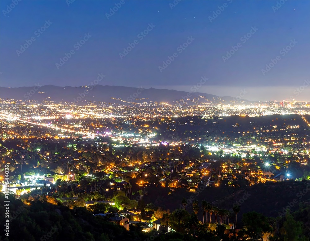 Obraz premium City lights panorama at night
