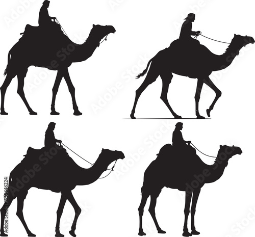 Camel riders silhouette vector illustration